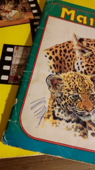 Lote dos álbumes de cromos Panini