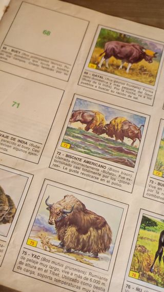 Lote dos álbumes de cromos Panini