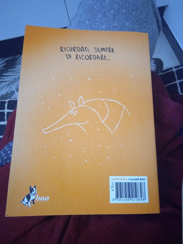 Libro fumetto