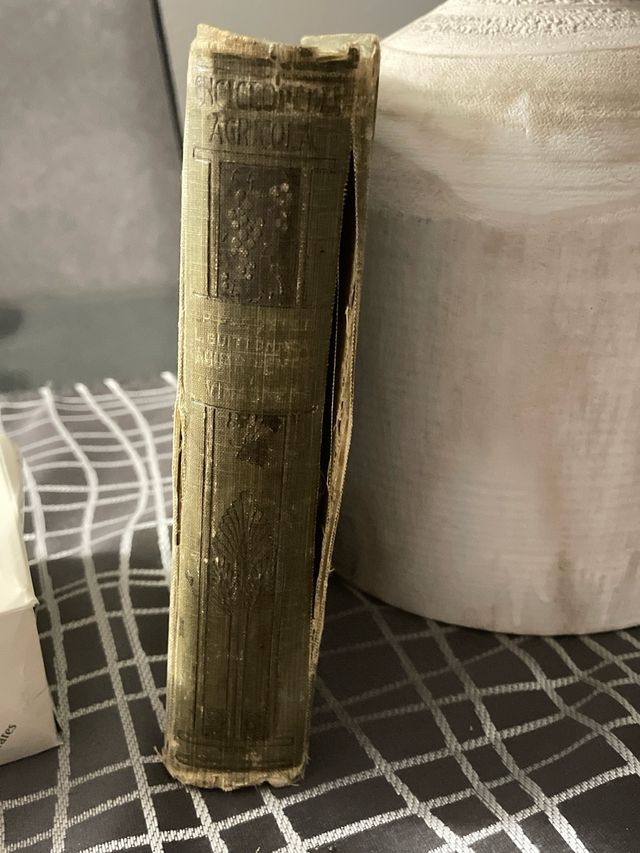 Libro Aguardientes y Vinagres-Vintage