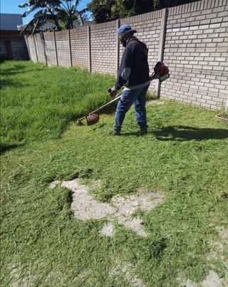 Limpieza de parcelas poda de árboles