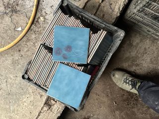 Azulejos antiguos azul cielo y medusas 15 x 15 