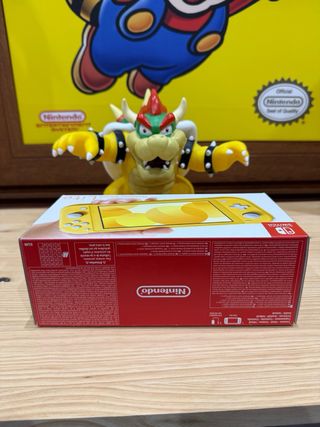 Caja Nintendo Switch Lite 