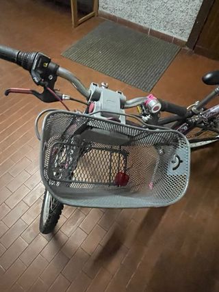 Bici ragazza 12 anni