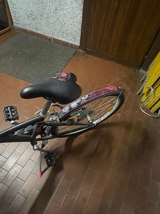 Bici ragazza 12 anni