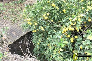 Terreno en venta en Torrelles de Llobregat