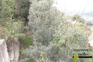 Terreno en venta en Torrelles de Llobregat