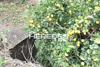 Terreno en venta en Torrelles de Llobregat