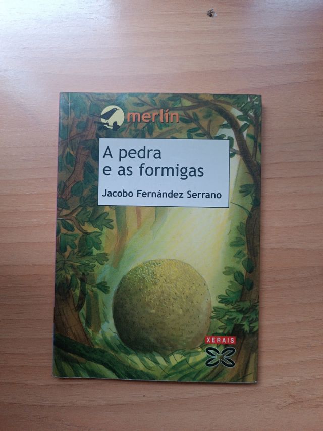 A pedra e as formigas (Galician Edition)