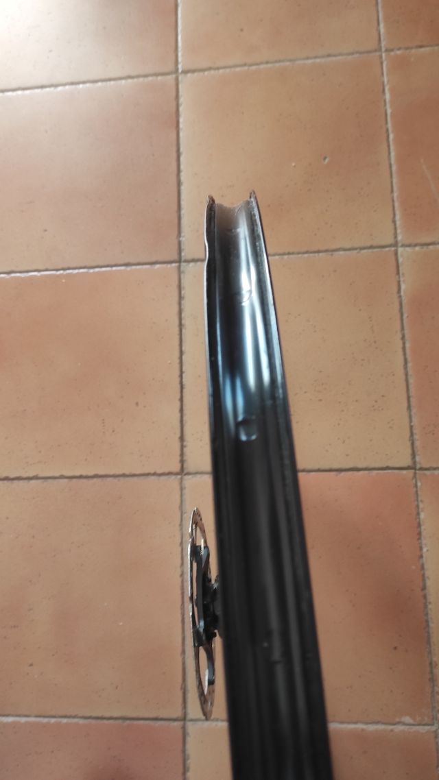 Rueda trasera BH Evo 29" 25mm CL microspline