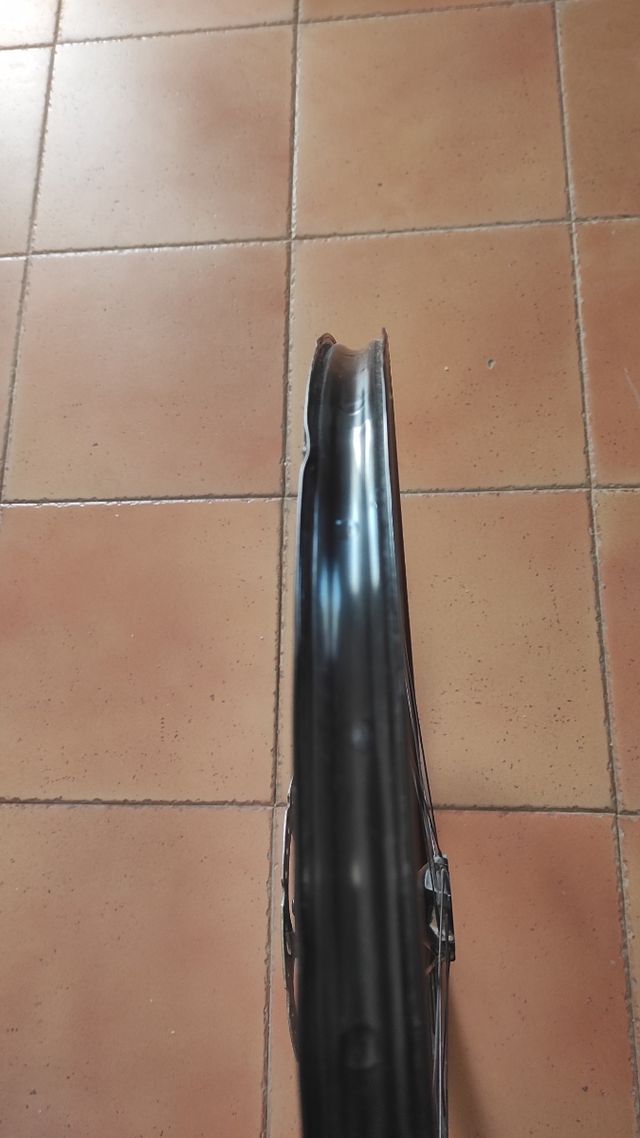 Rueda trasera BH Evo 29" 25mm CL microspline