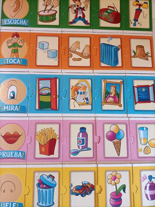 Puzzle El Cuerpo Humano