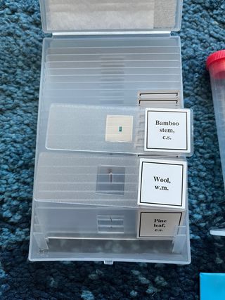 Microscopio 