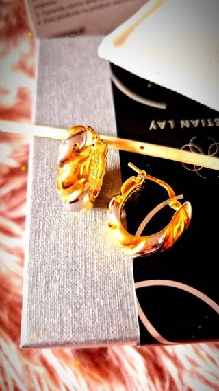 Pendientes Plata Baño Oro
Pendientes Pluma Dorada 