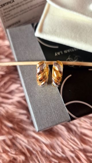 Pendientes Plata Baño Oro
Pendientes Pluma Dorada 