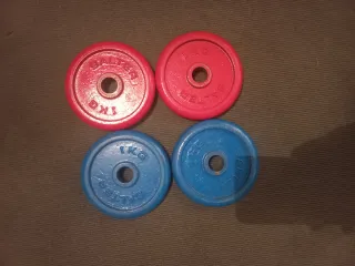 PESAS 4 DISCOS DE 1KG DE 20MM SALTER