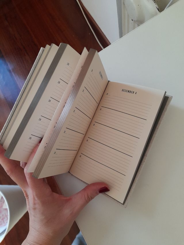 Agenda One Line A Day