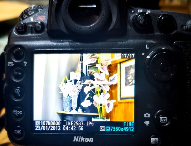 Réflex Nikon 800 FX Gran Formato