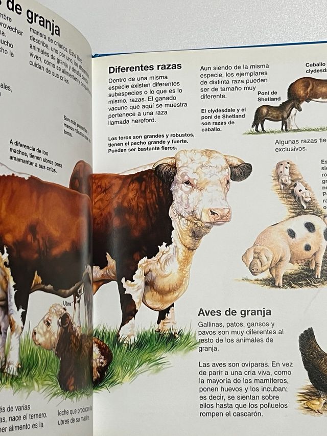 Animales  de granja