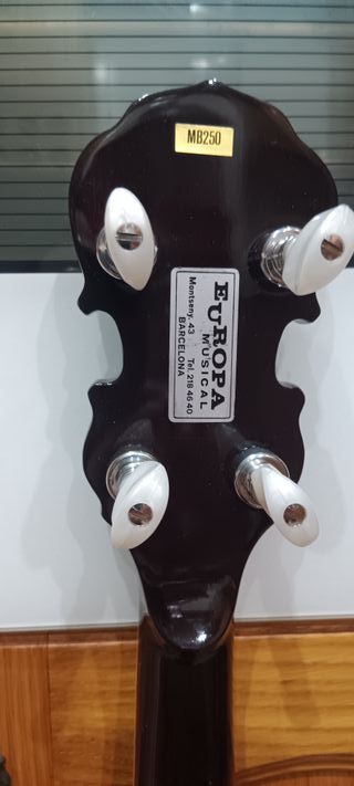 BANJO EPIPHONE MB250