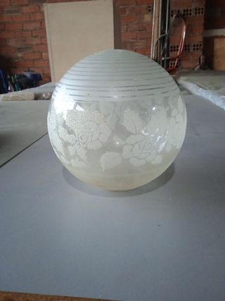 Tulipas cristal