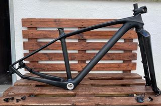 Forcelle mtb Carboni Teams