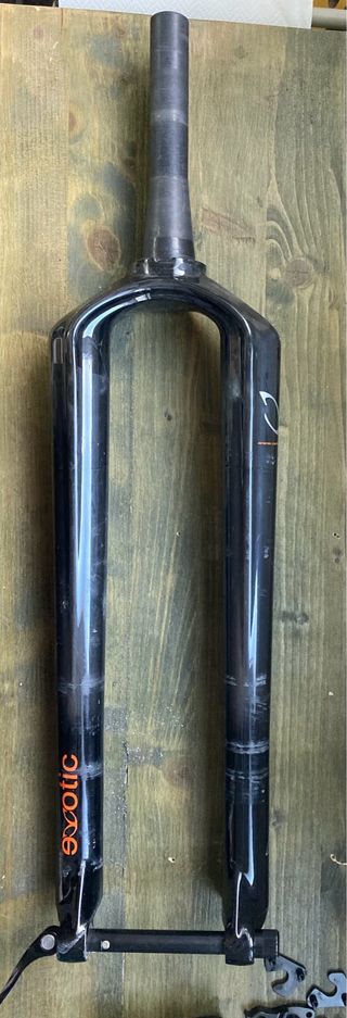 Forcelle mtb Carboni Teams