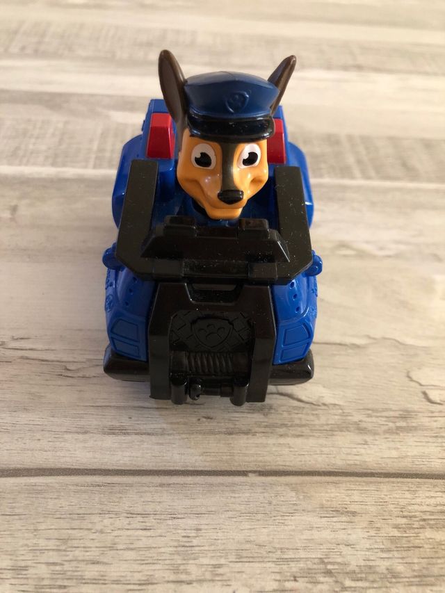 Coche patrulla canina