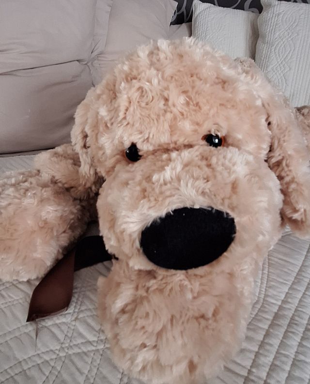 Perro peluche