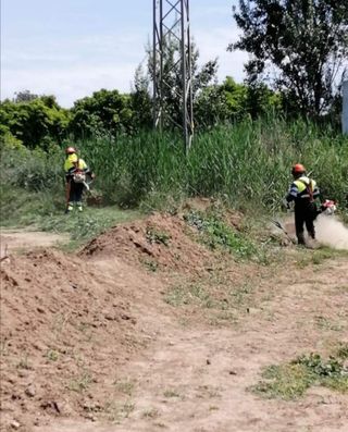 Jardinero económico 