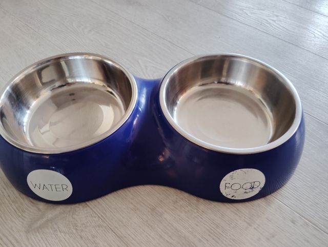 Bebedero comedero perro