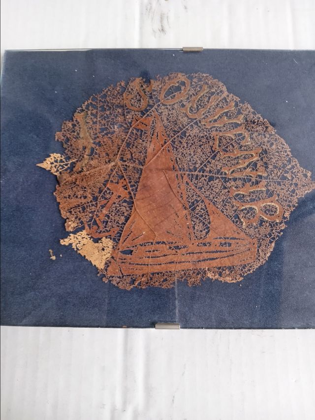 Quadretti incisione su foglie