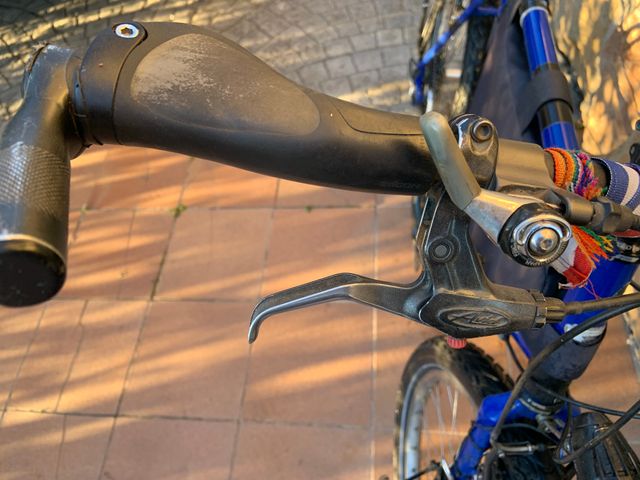 Bicicleta Surly Long Haul Trucker 56 cm