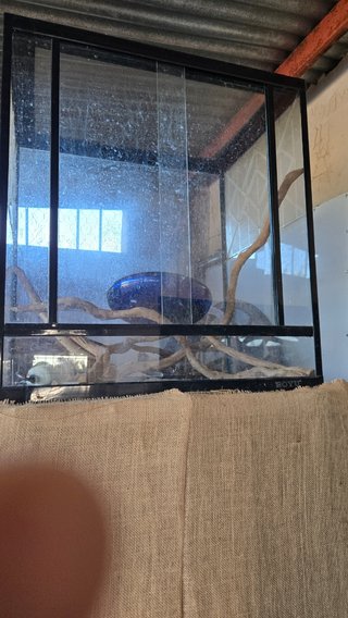Terrario