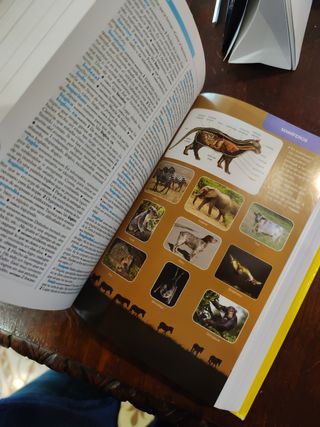 Diccionario Espasa de Primaria