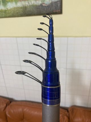 Canna da pesca 