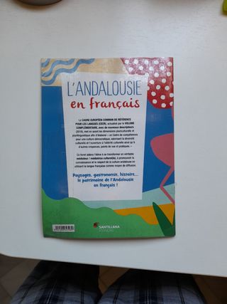 Cuadernillo Francés Santillana