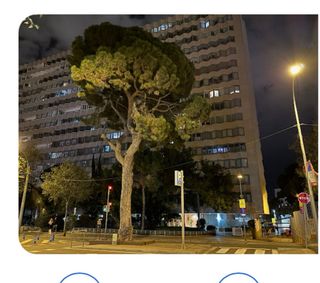 Botas de invierno/nieve