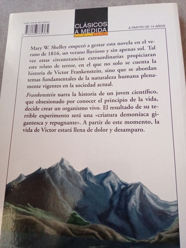 Frankenstein (Clasicos a Medida / Classics) (Spanish Edition)