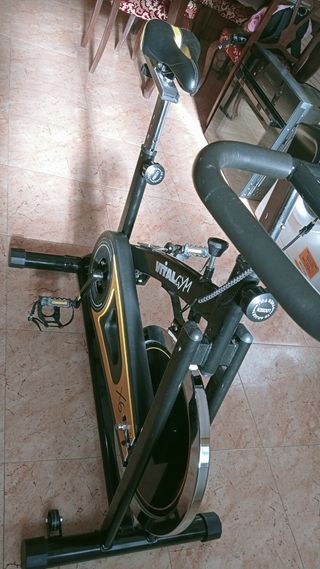 Bicicleta de spinning vital gym X6