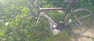 Bicicleta orbea