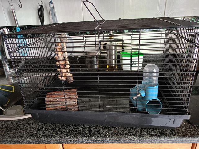 Jaula hamster