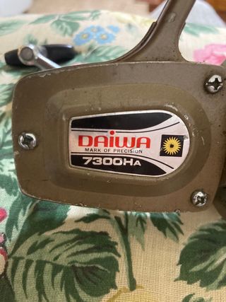 Mulinello daiwa