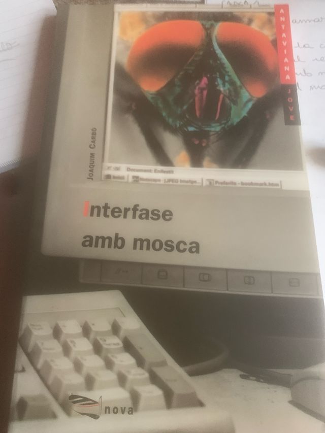 Interfase Amb Mosca