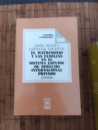 El matrimonio y las familias en el sistema español de derecho internacional privado (Tratados y manuales) (Spanish Edition)