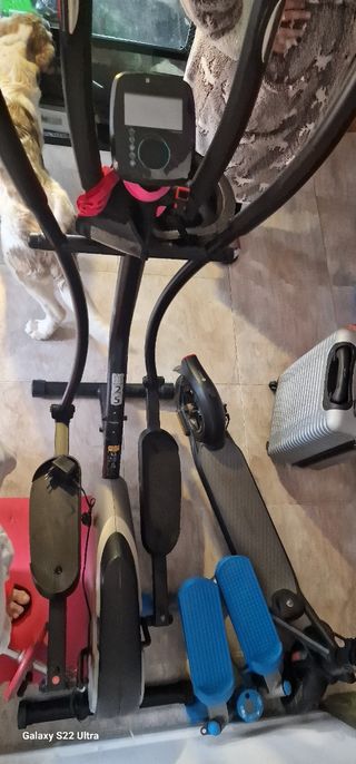 Aparatos gym