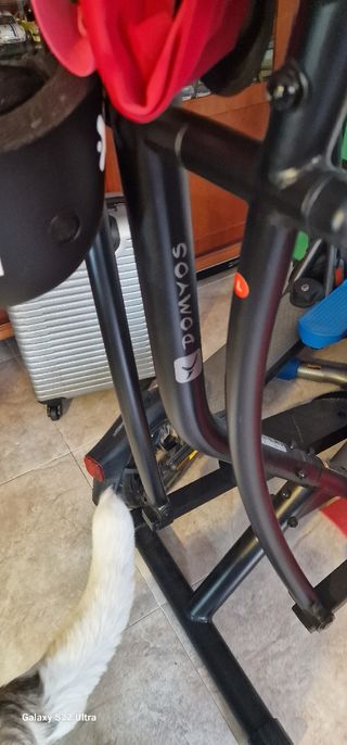 Aparatos gym