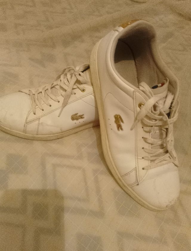 zapatos lacoste
