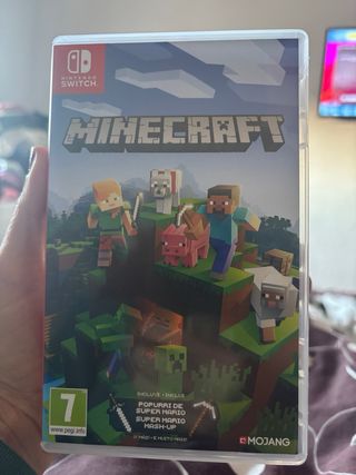 Minecraft switch
