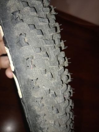 Neumático bicicleta 